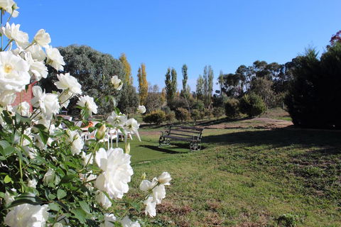 Gundaroo Manor Bed & Breakfast - Dentist Search 2