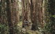 Habitat Noosa - thumb 0
