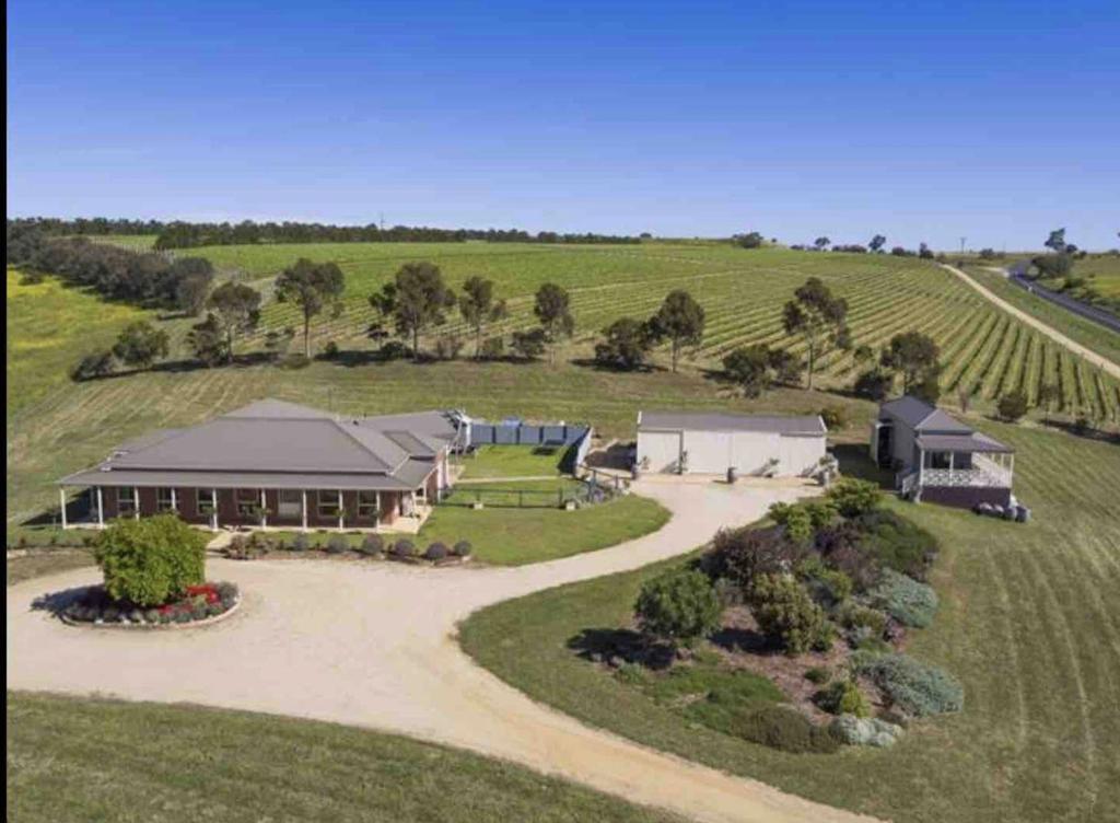 Harry Scotts Farmhouse At Vineyard