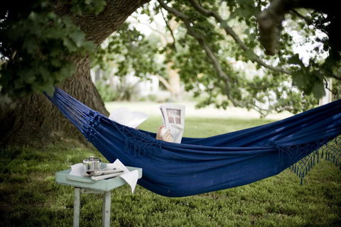 Harvest Farm - Dentist Search 2