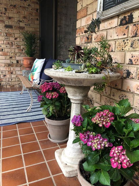 Hawthorn River Retreat - Dentist Find 3