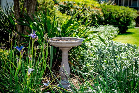 Hepburn Villas - Dentist Find 3