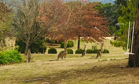 Highfield Cottage - Dentist Search 2