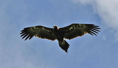 Highwood Park B&B Guest Lodge - Dentist Search 3