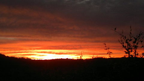 Highwood Park B&B Guest Lodge - Dentist Search 2