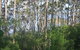 Honeymoon View - thumb 2