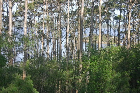 Honeymoon View - Dentist Search 2