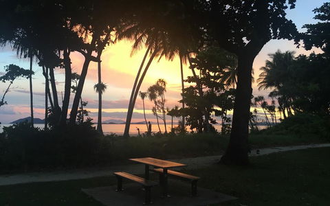 Jackaroo Treehouse Mission Beach - Dentist Find 3