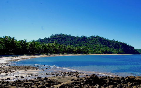 Jackaroo Treehouse Mission Beach - Dentist Find 2