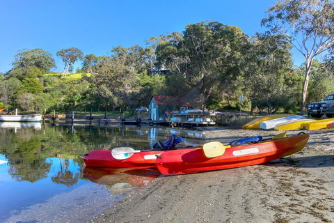 Jetty Road Retreat - Dentist Find 1