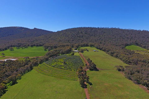 Jilba - Dentist Search 1