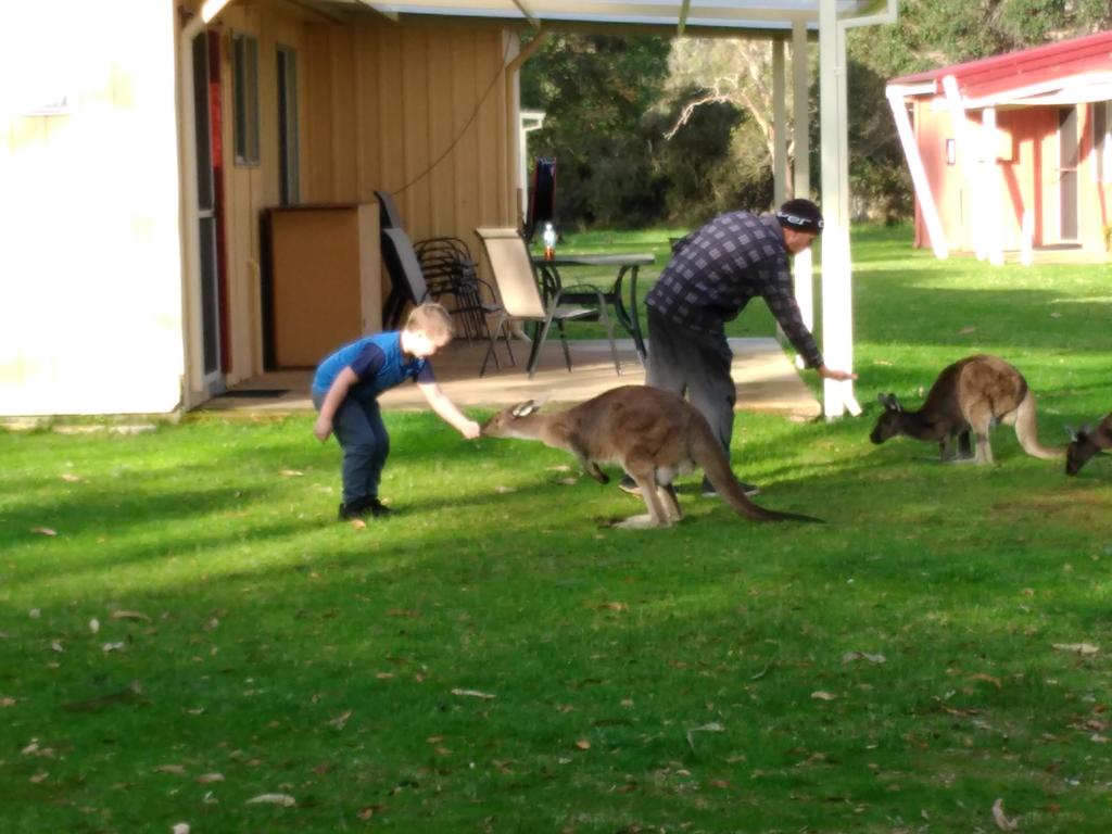 Kalgan River Chalets and Caravan Park