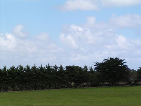 Karingal Homestead B&B - Dentists Australia 0