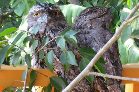 Karma Cottage - Dentists Australia 0