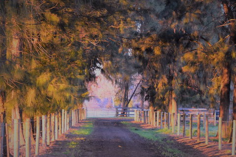 King River Cottage - Dentist Search 3