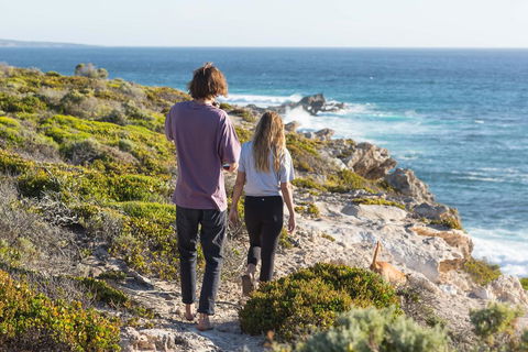 Kooyar Mia - Dentist Search 3