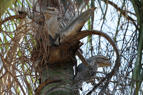 Kununurra Lakeside Resort - Dentist Find 2