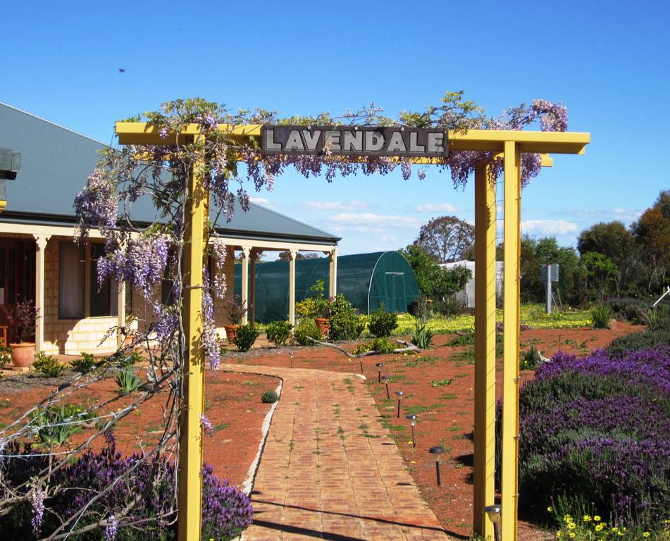 Lavendale Farmstay and Cottages York