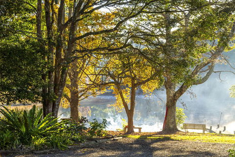 Maleny Lake Cottages-Guesthouse - Dentist Find 2