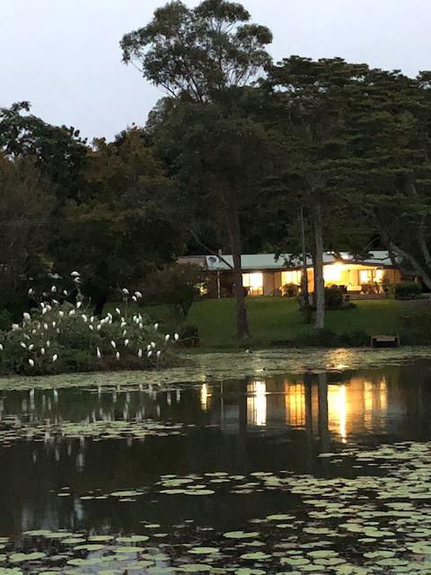 Maleny Lake Cottages-Guesthouse - Dentist Find 3