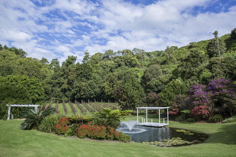 Maleny Manor - Dentists Australia 2