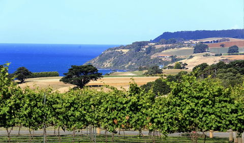 Mallavale Farm, Boat Harbour - Dentist Find 0