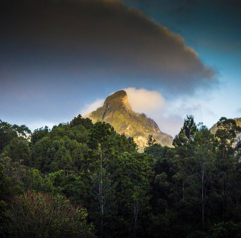 Mavis's Cabins @ Mt Warning - Dentist Search 1