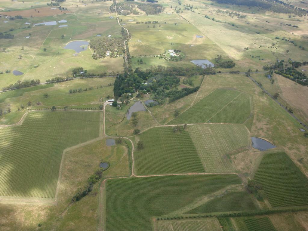 Mayfield Vineyard
