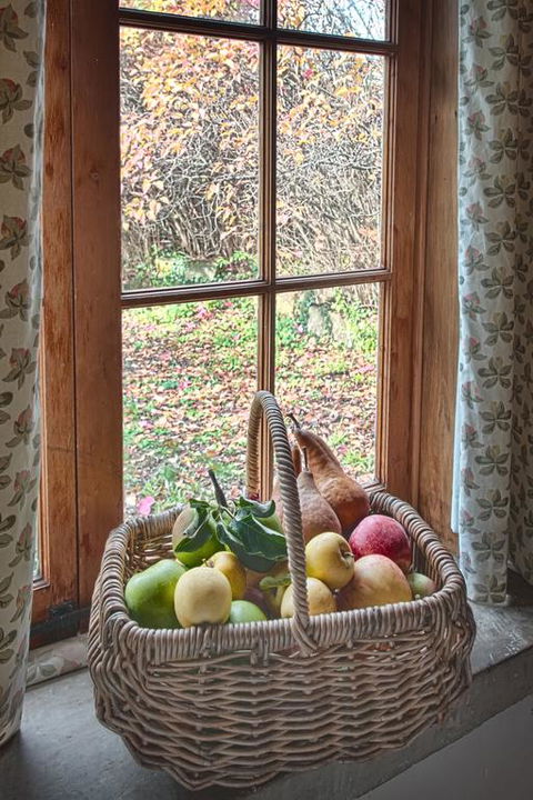 McCauley's Cottage - Dentist Find 3