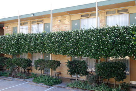 Mid City Motor Inn Queanbeyan - Dentist Search 1
