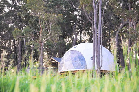 Mile End Glamping Pty Ltd - Dentist Find 2