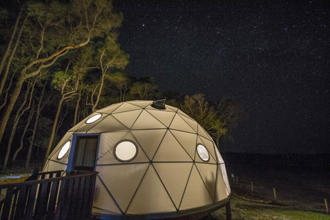 Mile End Glamping Pty Ltd - Dentist Find 3