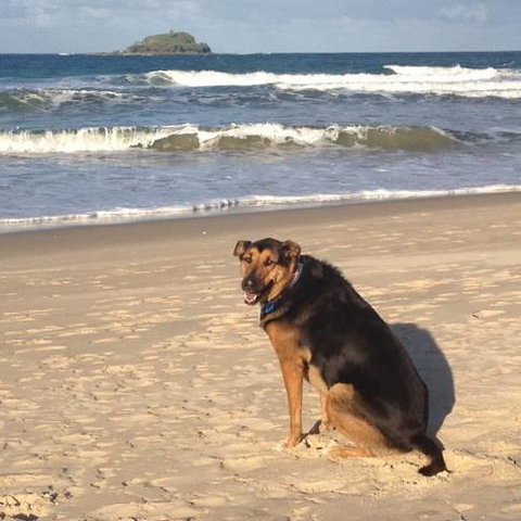 Mudjimba Esplanade Villa - Dentist Find 3