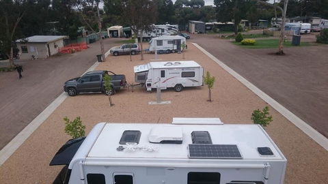 Murray Bridge Tourist Park - Dentist Find 3
