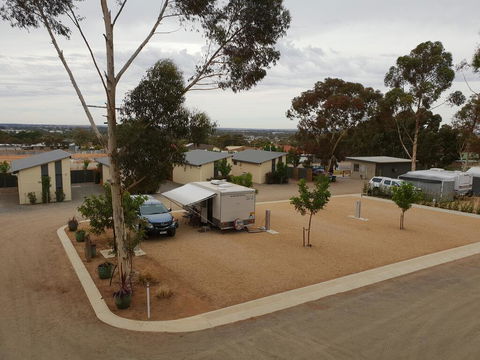 Murray Bridge Tourist Park - Dentist Find 1