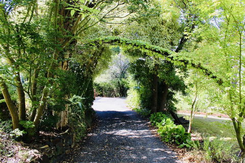 Nagoondie Studio - Dentist Search 1