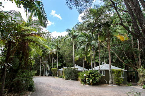 Nambour Rainforest Holiday Village - Dentists Australia 2