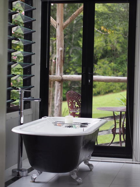 Nightcap Ridge - Byron Bay Hinterland - Dentist Search 3