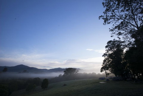 Nimbin Rox YHA - Dentist Search 0