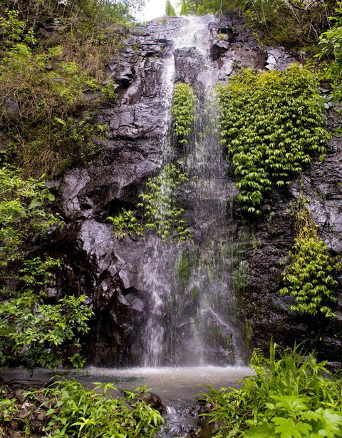 Nimbin Waterfall Retreat - Dentist Search 3