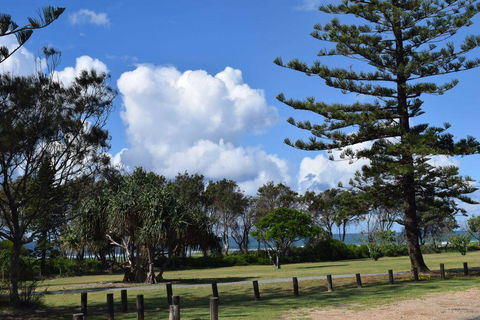 Oceanfront Beach House On Marine Parade - Dentist Find 3