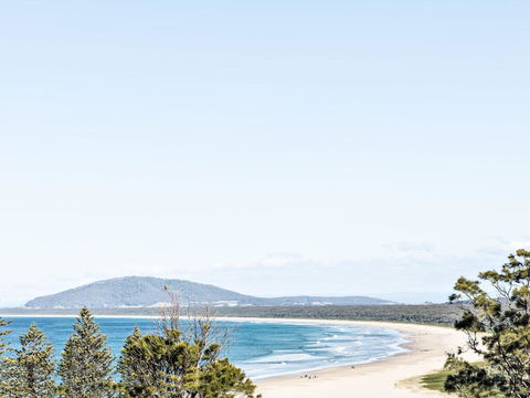 Ohana - Dentist Find 1