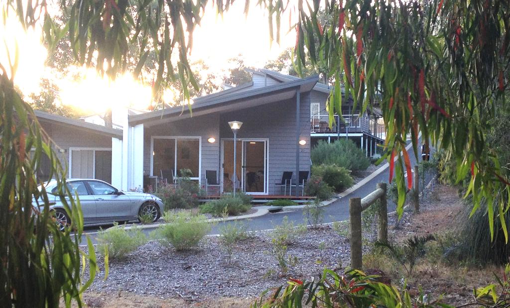 On the Edge of the Forest