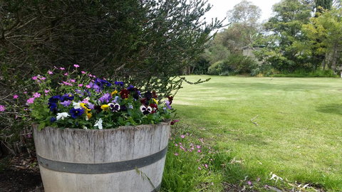 Padthaway Caravan Park - Dentist Find 0