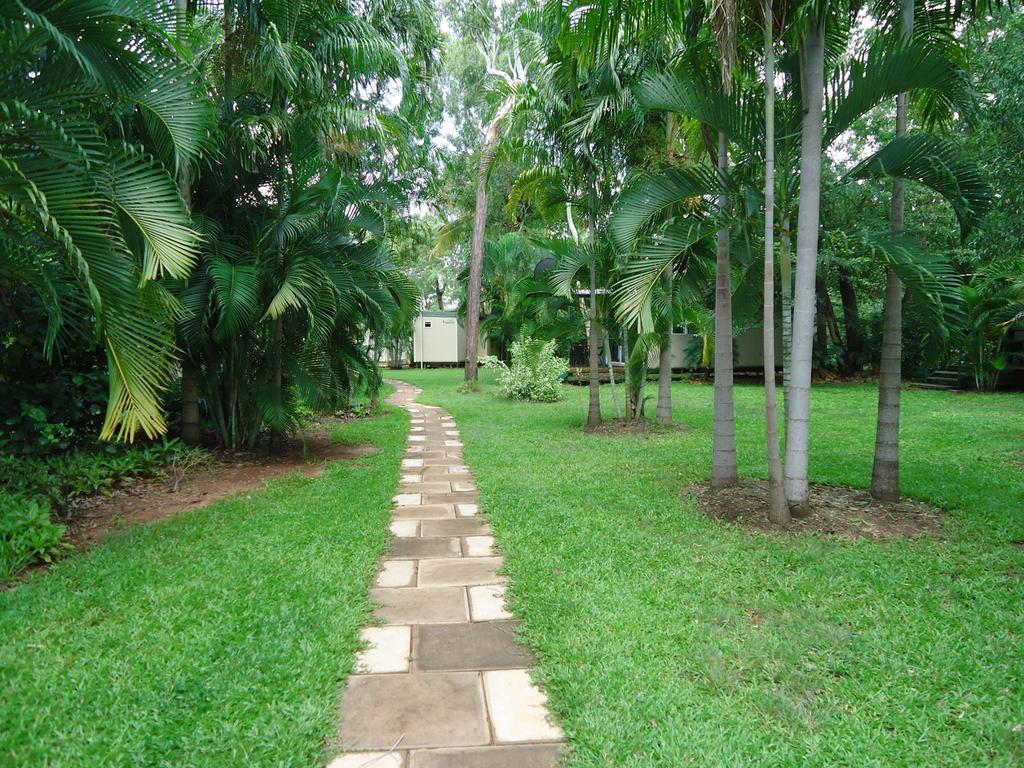 Pandanus on Litchfield