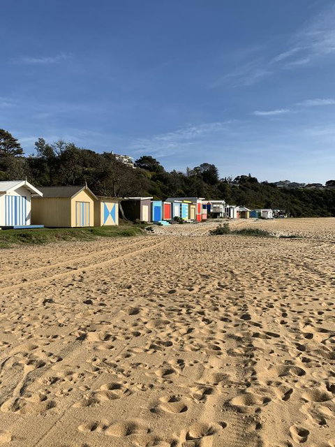 Perfect Mt Martha Beach House - Dentist Find 3