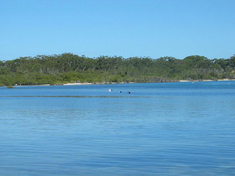 Pet Friendly - Exceptional Beachside Location - Dentist Search 3