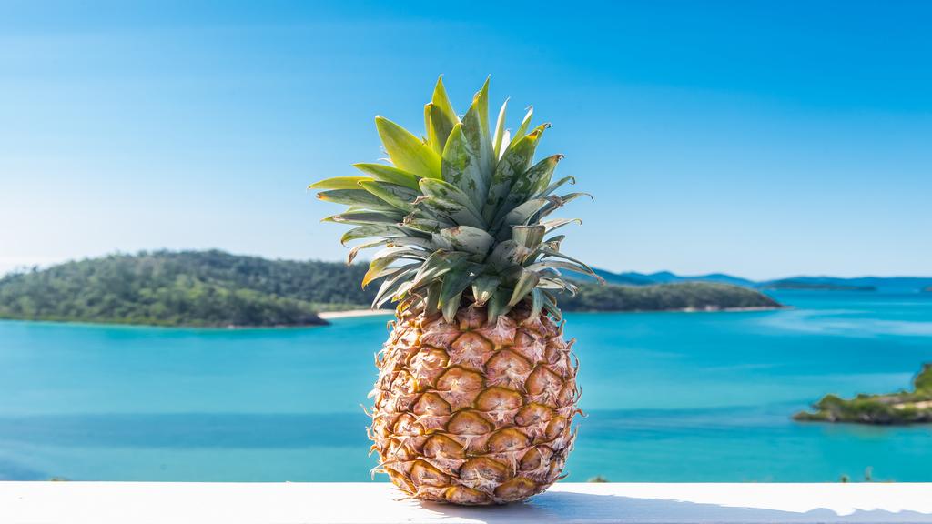 Pineapple House Whitsundays