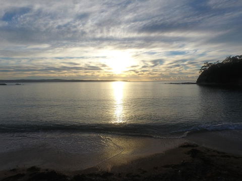 Pleasurelea Tourist Resort & Caravan Park - Dentist Find 3