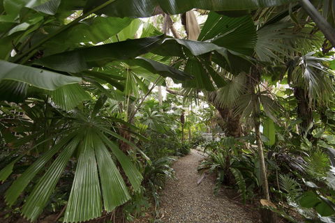 Rainforest Castaways Resort And Spa - Dentist Find 1